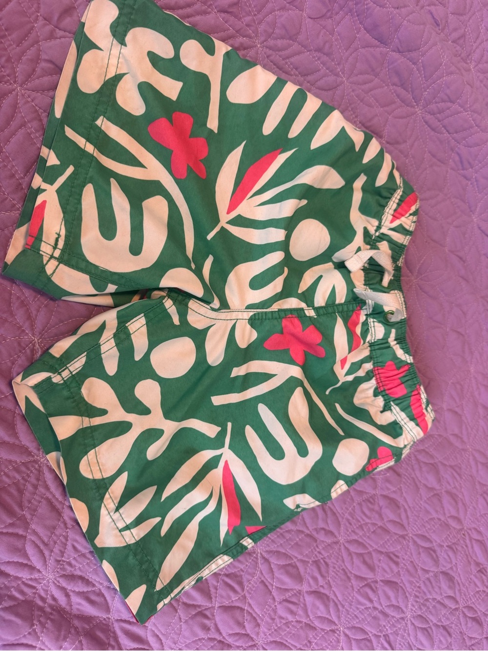 Hanna Andersson Green Tropical Print Shorts with Pink Accents